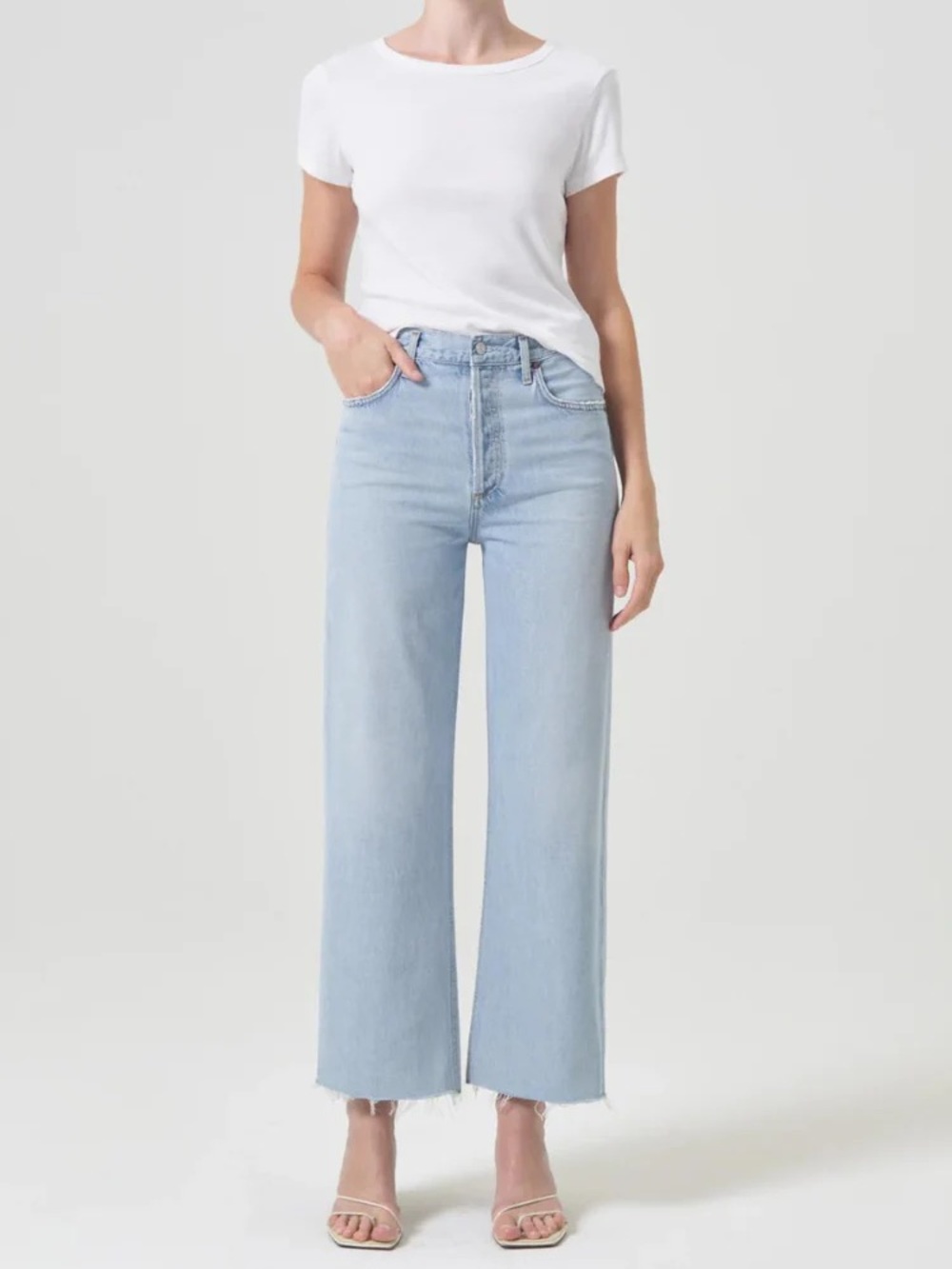 NWOT Agolde Ren High Rise Wide Leg Jeans in Smash- Size 29